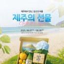 제주엔 이미지