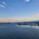 모녀가리비 이미지