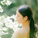 테라피 요가 이미지