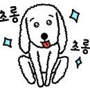 먹는족족