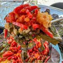 천안 신부동 맛집 물고기정육점 육회+차돌박이 후기