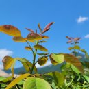 블로그 수익화(마케팅) 이미지