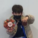 청호태권도 | 🍓청호태권도 딸기체험 후기글🍓