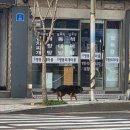 GS25서구탑병원 | 낭만이고 재난이고 저희도 구경 좀 합시다 1월 넷째 주