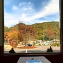 일등한우 이미지