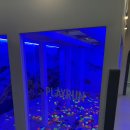 육민관고등학교 | 릴스에서 본 원주 대형키즈카페-플레이런 첫 방문 후기