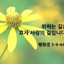 참부모님 말씀 카드 이미지