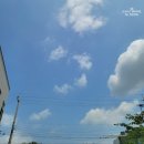 카페227