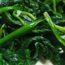 곤지암읍 곤지암리 543 이미지