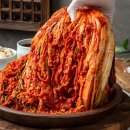 훼미리푸드 쇼핑하우