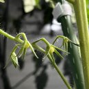 차오름 동물병원 이미지