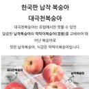 과일애 이미지