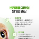 동천 동물병원 이미지