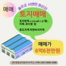 쑥쑥공인중개사사무소 이미지