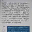 카렐차페크 Daum카페