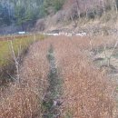 죽청마을 이미지