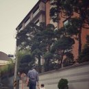 백종원 카카오 검색결과