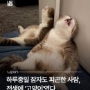 종로할머니칼국수서 | 26년 05월