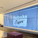 [도쿄여행] 오니츠카타이거{Onitsukatiger} 오모테산도점 방문후기