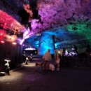 일출랜드식물원 이미지