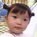 오공팔