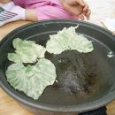 숲마을농원 이미지