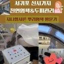 샤론미용실 | 🌿 서귀포 천연염색 첫 체험 후기 :: 제주 서귀포 지나엘샤론 뿌리염색으로 힐링한 하루