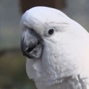 김동호 농장 이미지