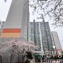 신도림미성공인중개사사무소 | 신도림동 신도림 동아 1차 아파트를 소개합니다.
