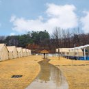 반려견 | 대구근교 캠핑장 왜관 하이스트 글램핑장 후기｜반려견 동반 가능