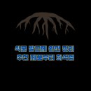 대유그린에너지 | 식물 발근제 완전 정리 추천 제품부터 희석법, 실패 없는 사용법