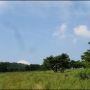 재호목장 Daum카페