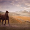 아동과학지도 이미지