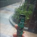 버블전자담배