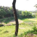 힐링도원 이미지