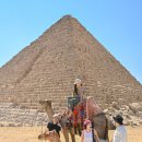 동방건설(주) | 이집트 여행 경비 적기 오다투어 패키지 후기
