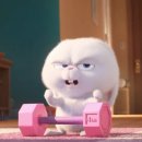 [오프라인] ★내가 찐고수 공간정리법★ / 구의3동 | 헬스장 처음 갔을 때 뭐부터 해야 할까? 영통역 헬스장에서 알려주는 초보자 필독서📖