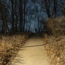 강서별빛우주과학관 화장실 이미지