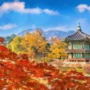 뮤직실용음악학원