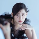 고요한 시선 Daum카페