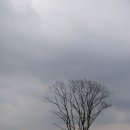 성미목장 이미지