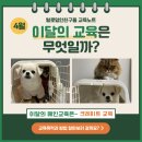 털로덮인친구들 달서점 이미지