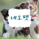 네오펫동물메디컬센터