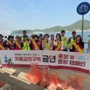 죽림해안로 이미지