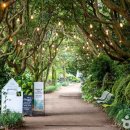 카멜리아힐 이미지