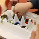 리본 프로젝트(Re:born project) 이미지