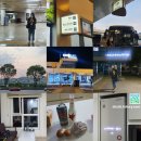 완도21호 | [강원도] 2박3일 속초 여행 Preview +코스/비용