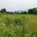 용강회관 이미지