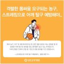 대한스포츠의학회