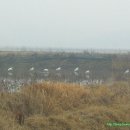 부리농장 이미지